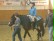 Pferd mit Schüler auf dem Rücken