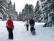 Das Bild zeigt einige Schüler beim Spaziergang im Schnee.