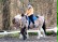 Auf dem Foto ist ein Pferd, auf dem ein Schüler sitzt, zu sehen und eine Therapeutin, die das Pferd führt.